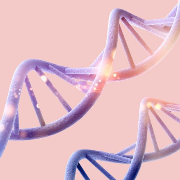 Exosome Uygulaması